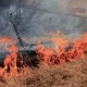 Tczew - Już kolejny raz płoną trawy. Ktoś podpala dla zabawy?