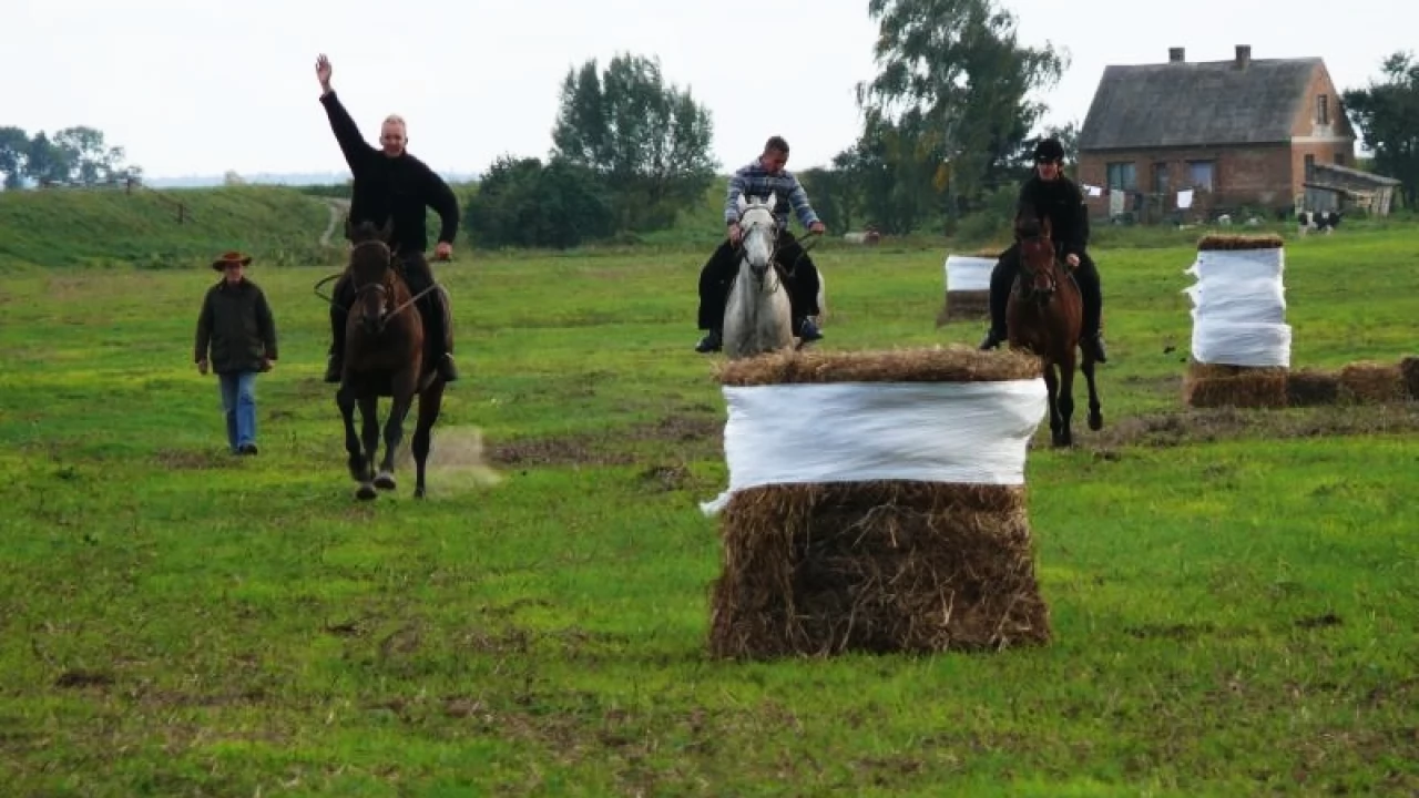 Tczew - Piknik Opaleński - wyścigi traktorów