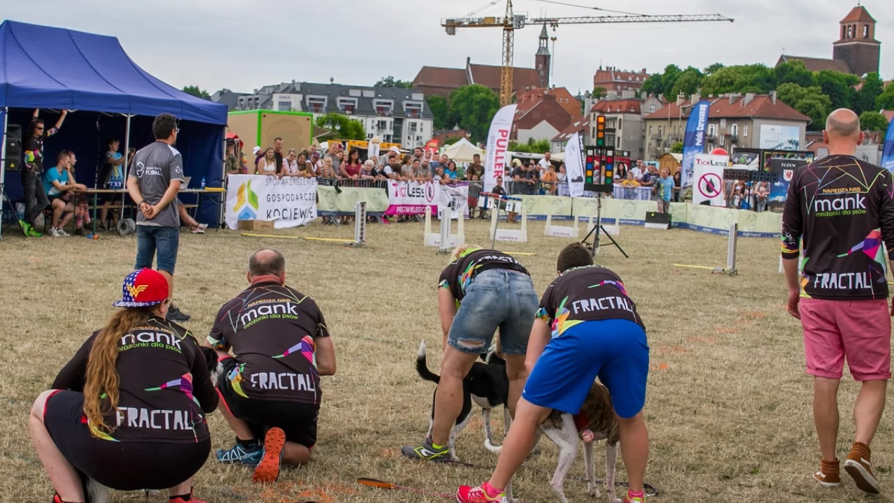 Tczew - Foodtrucki i Flyball nad Wisłą