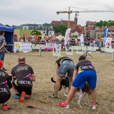 Tczew - Foodtrucki i Flyball nad Wisłą