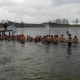 Tczew - Tczewskie morsy uhonorowane! Teraz jadą do Skandynawii, bo u nas... za ciepło