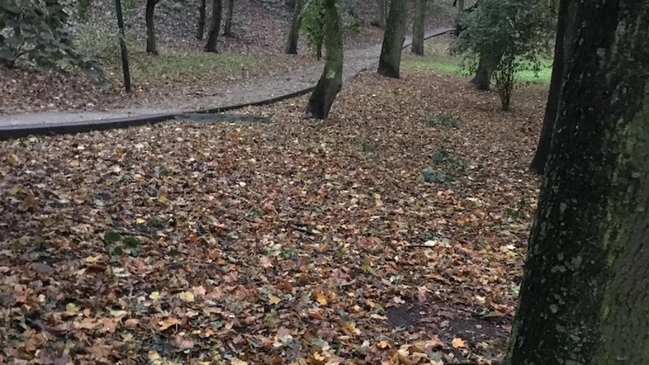 Tczew - Park Miejski jesienią z dnia 7.10.2016