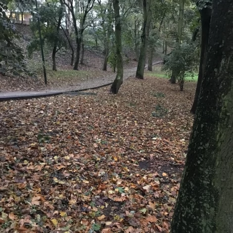 Tczew - Park Miejski jesienią z dnia 7.10.2016