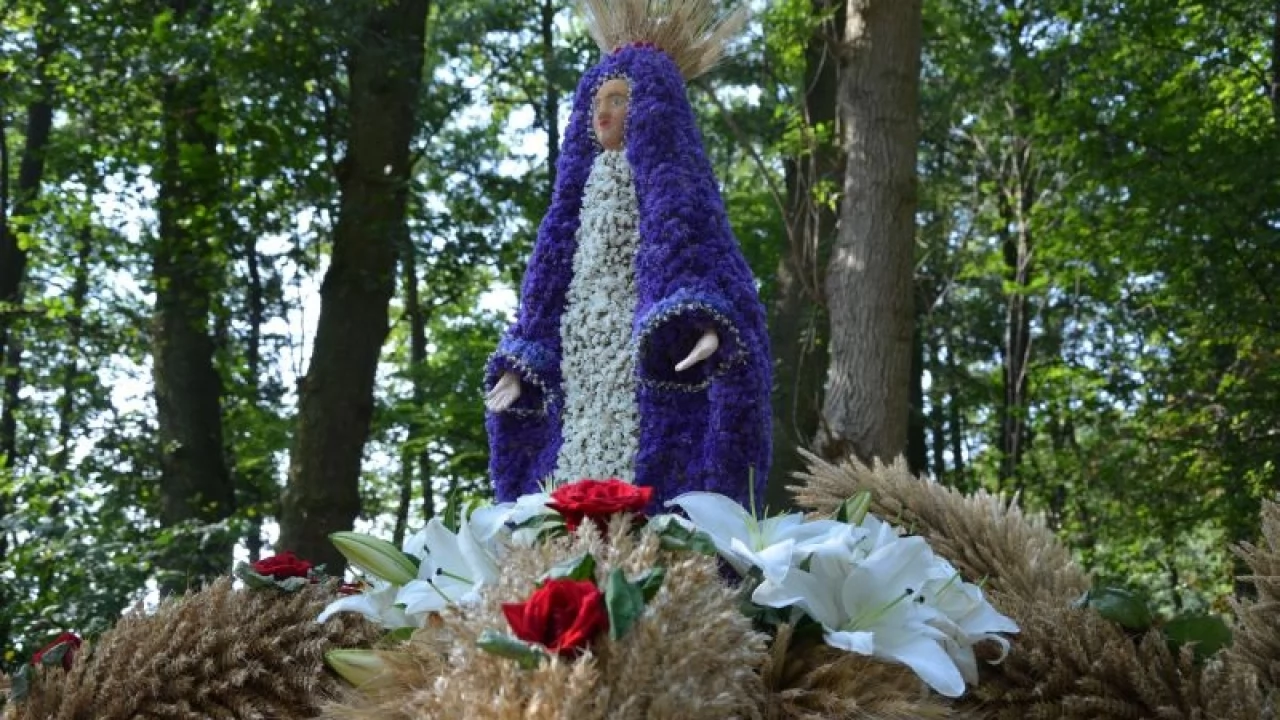 Tczew - Dożynki Gminy Tczew 2014