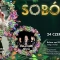 Tczew - Sobótki Tczewskie - Grzegorz Hyży i zabawa pod gwiazdami z DJkami