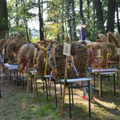 Tczew - Dożynki Gminy Tczew 2014