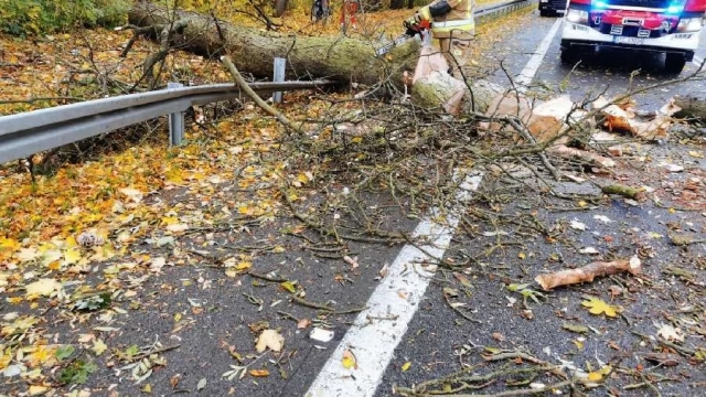 Tczew - Połamane drzewa, uszkodzone dachy - krajobraz po wichurze