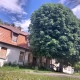 Tczew - Miejskie nieruchomości na sprzedaż