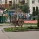 Tczew - Sarny na Bajkowym