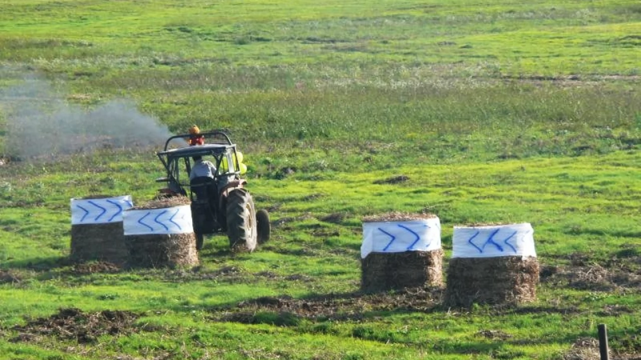 Tczew - Piknik Opaleński - wyścigi traktorów