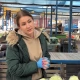 Tczew - Sprawdzamy, jak ceny warzyw i owoców na tczewskim targowisku