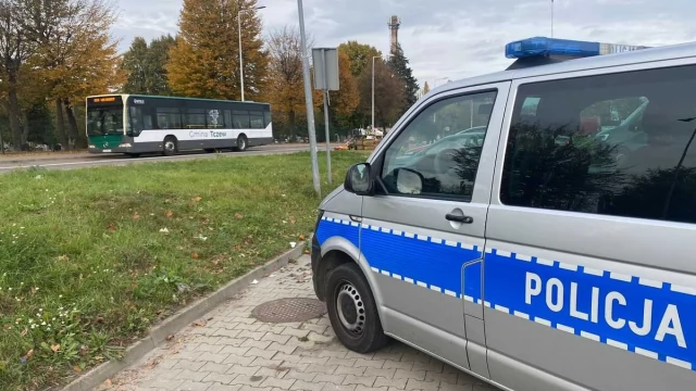 Tczew - 7 kolizji w pierwsze dni listopada - w tym zderzenie z sarną, dzikiem oraz cielakiem