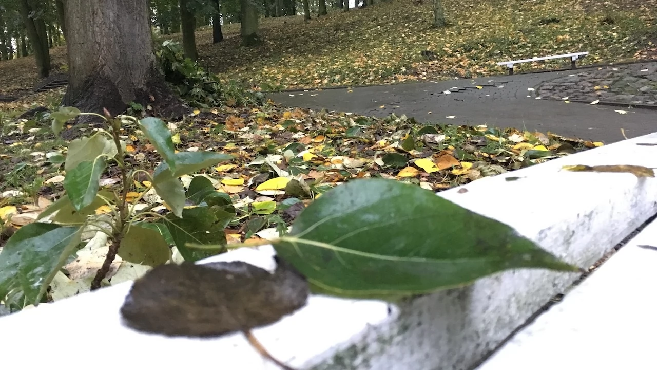 Tczew - Park Miejski jesienią z dnia 7.10.2016