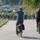 Tczew - 19. września samochód zostaw w domu