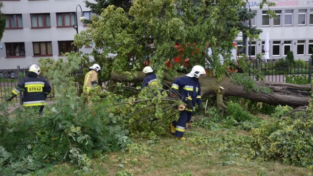 Tczew - Gwałtowne załamanie pogody - straż ma ręce pełne roboty [FOTO, WIDEO]