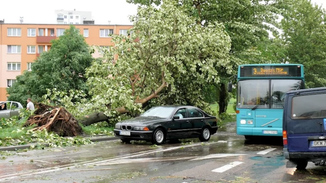 Tczew - Ponad 60 strażackich interwencji po piątkowej wichurze