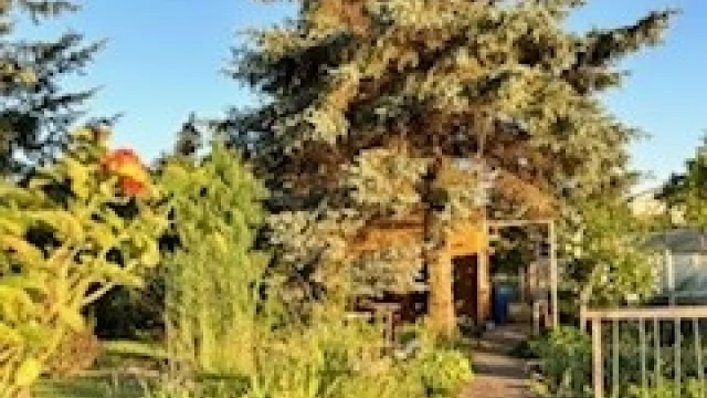 Tczew - Działka RODO