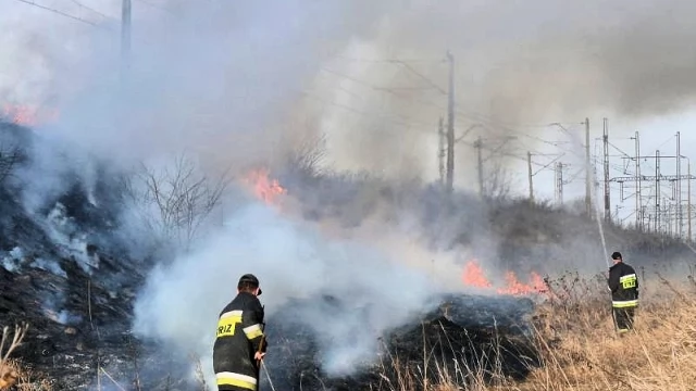Tczew - Aż 46 razy wyjeżdżali do płonących traw