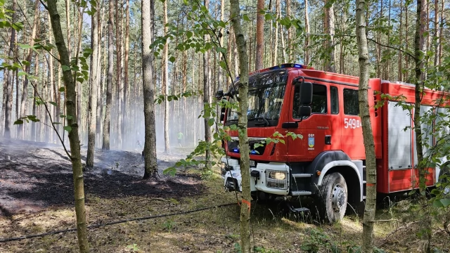 Tczew - Płonął las w Jaźwiskach