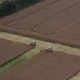 Tczew - Latem łatwo o wypadek przy pracy