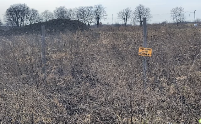 Tczew - Co dalej z centrum handlowym na terenie tzw. "prochowni"?