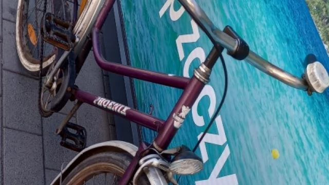 Tczew - Damka Niemiecka sprzedam 28&amp;#34;