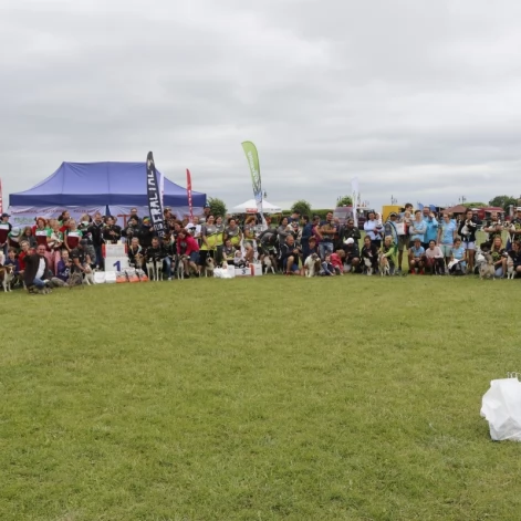 Tczew - Zawody Flyball, czyli wyścig psich sztafet