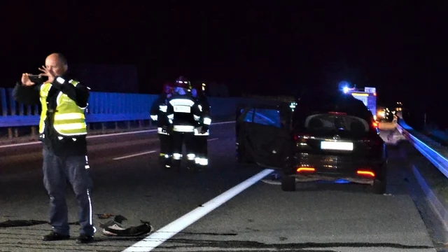 Tczew - Wypadek na A1. Dwa auta zderzyły się z łosiem