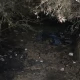 Tczew - Pożar na dawnym poligonie - poparzony bezdomny mężczyzna. Trawę podpalili nieletni?