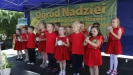 Tczew - Ogrody Nadziei. Festyn w szczytnym celu