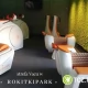 Tczew - Trening w strefie Vacu w Rokitkipark