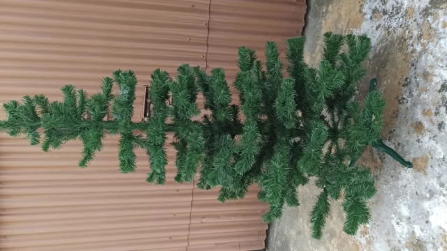 Tczew - Piękna duża choinka 200cm