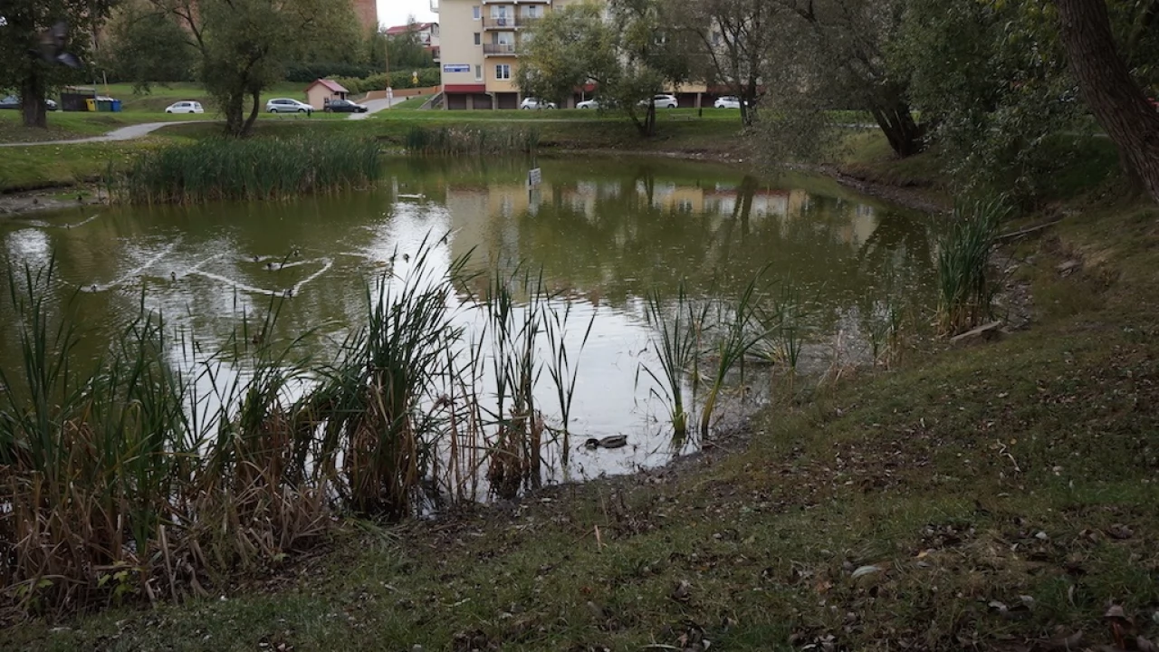 Tczew - Stawek na Bajkowym