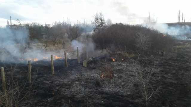 Tczew - Głupota ludzka nie ma granic! Coraz więcej pożarów traw