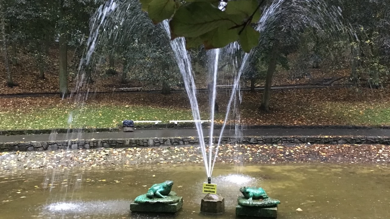 Tczew - Park Miejski jesienią z dnia 7.10.2016