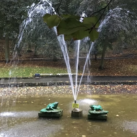 Tczew - Park Miejski jesienią z dnia 7.10.2016