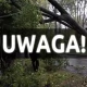 Tczew - W związku z prognozowaną wichurą - 3 stopień zagrożenia. "Duże prawdopodobieństwo wystąpienia szkód materialnych"