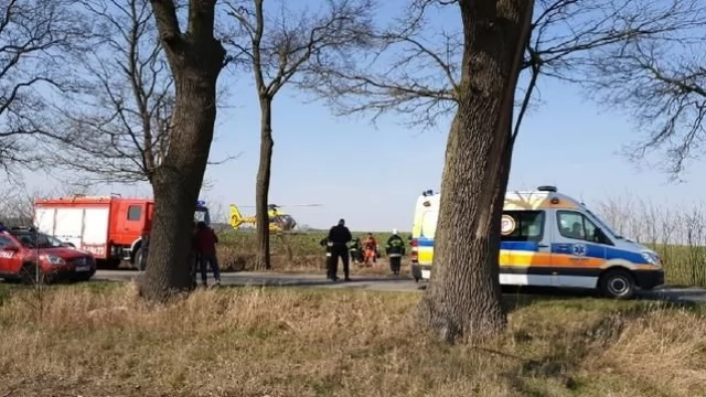 Tczew - Bus wjechał w drzewo. Osiem osób rannych, na miejscu LPR
