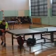 Tczew - GRAND PRIX Tczewa w tenisie stołowym