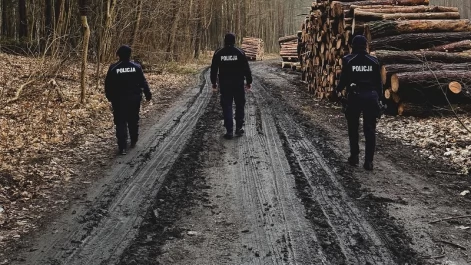 Tczew - Usłyszeli strzały i zgubili się w lesie. Mundurowi ruszyli z pomocą