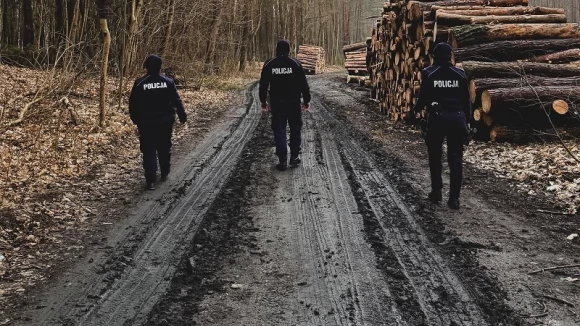 Tczew - Usłyszeli strzały i zgubili się w lesie. Mundurowi ruszyli z pomocą