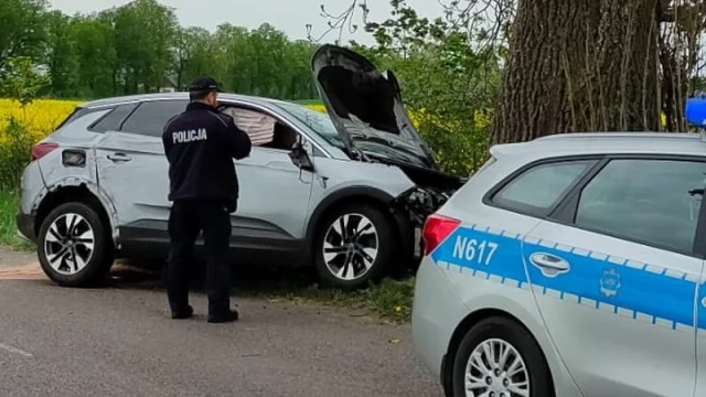 Tczew - Wyprzedzał na łuku, skończyło się na drzewie. Tczewianin miał prawie 2 promile