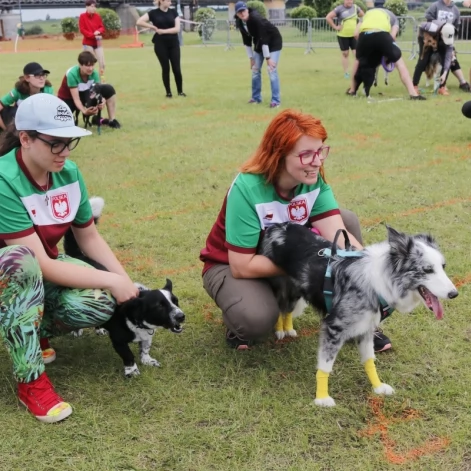 Tczew - Zawody Flyball, czyli wyścig psich sztafet
