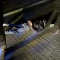 Tczew - Napadł na mężczyznę wypłacającego gotówkę z bankomatu