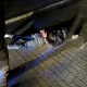 Tczew - Napadł na mężczyznę wypłacającego gotówkę z bankomatu