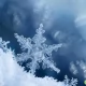 Tczew - Pierwszy śnieg i już kłopoty komunikacyjne?