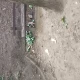 Tczew - Park - co tam zobaczyłam...