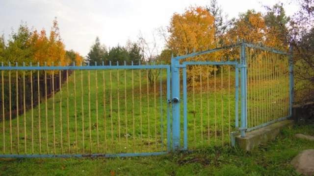 Tczew - Potrzebny wybieg dla psów