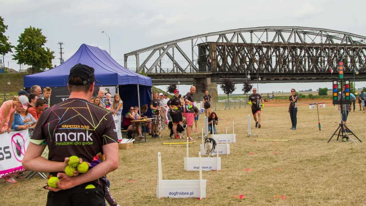 Tczew - Foodtrucki i Flyball nad Wisłą