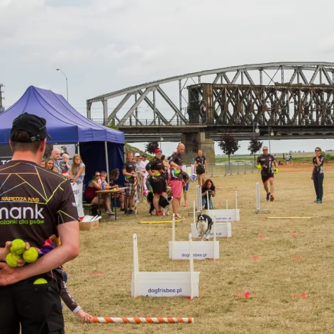 Tczew - Foodtrucki i Flyball nad Wisłą